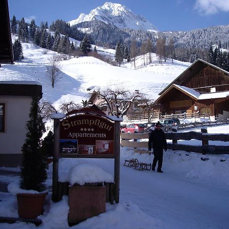 Strampflgut Daire Dorfgastein Dış mekan fotoğraf