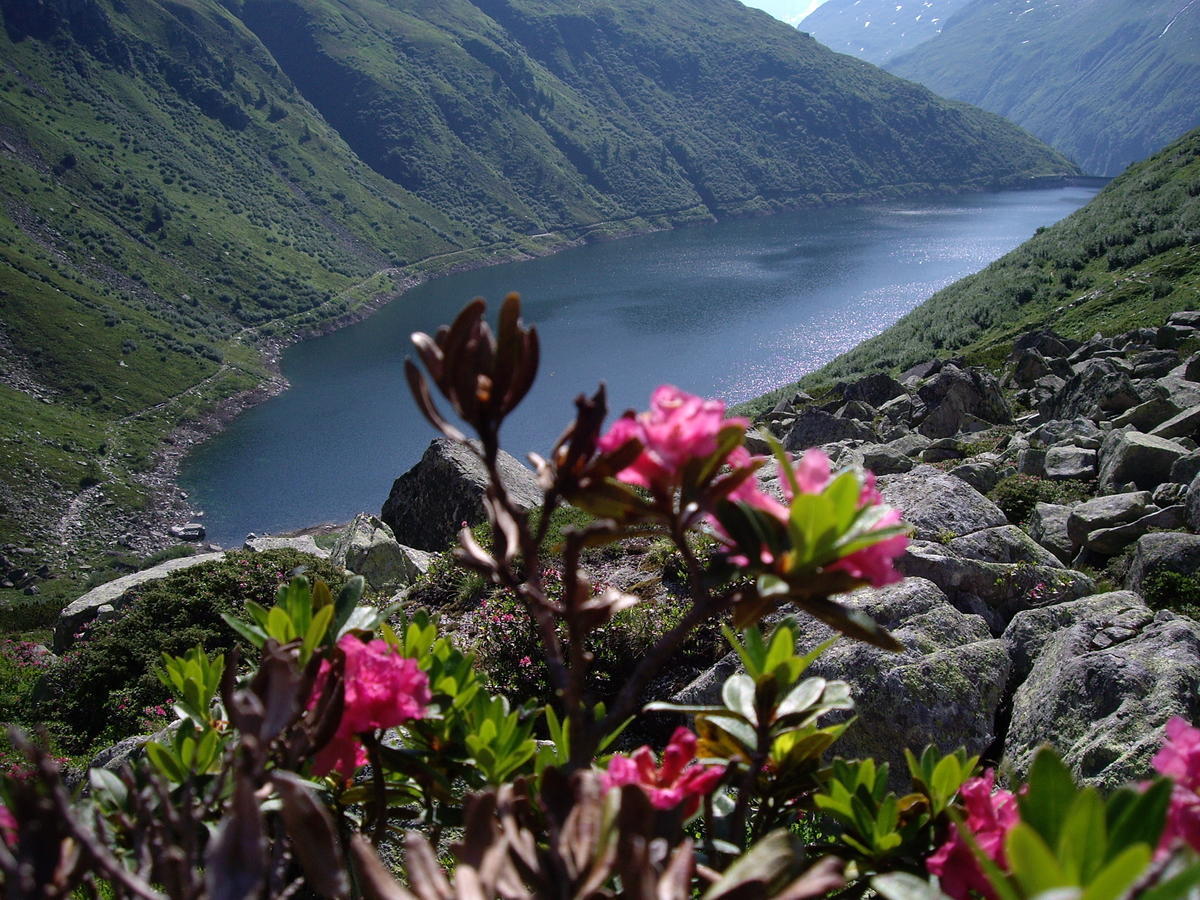 Strampflgut Daire Dorfgastein Dış mekan fotoğraf